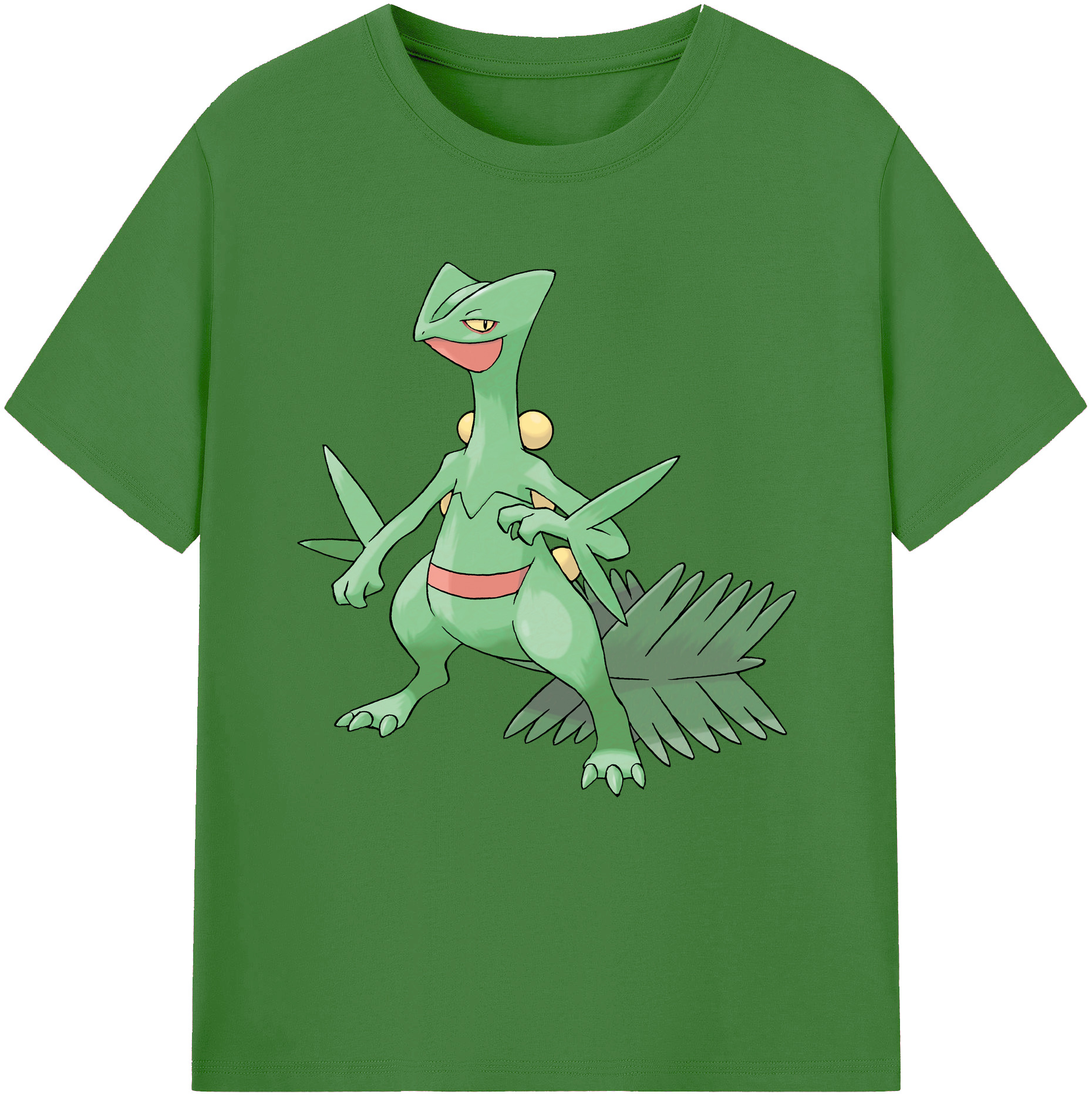 （画像用） ポケットモンスター Pokémon レディースカジュアルプリントTシャツ（綿100％）